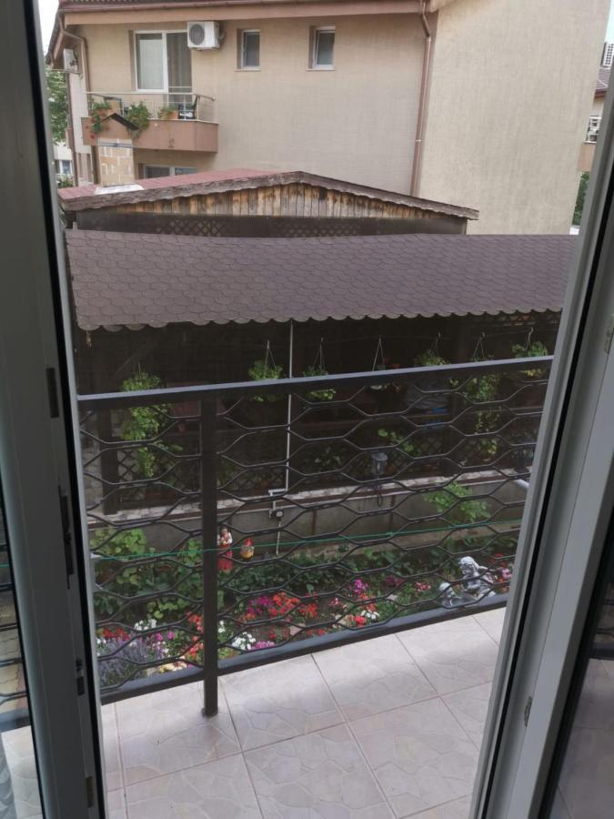 אפורי נורד Vila Efor מראה חיצוני תמונה