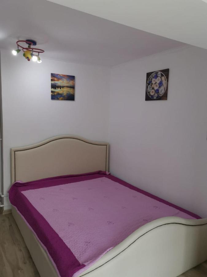 אפורי נורד Vila Efor מראה חיצוני תמונה
