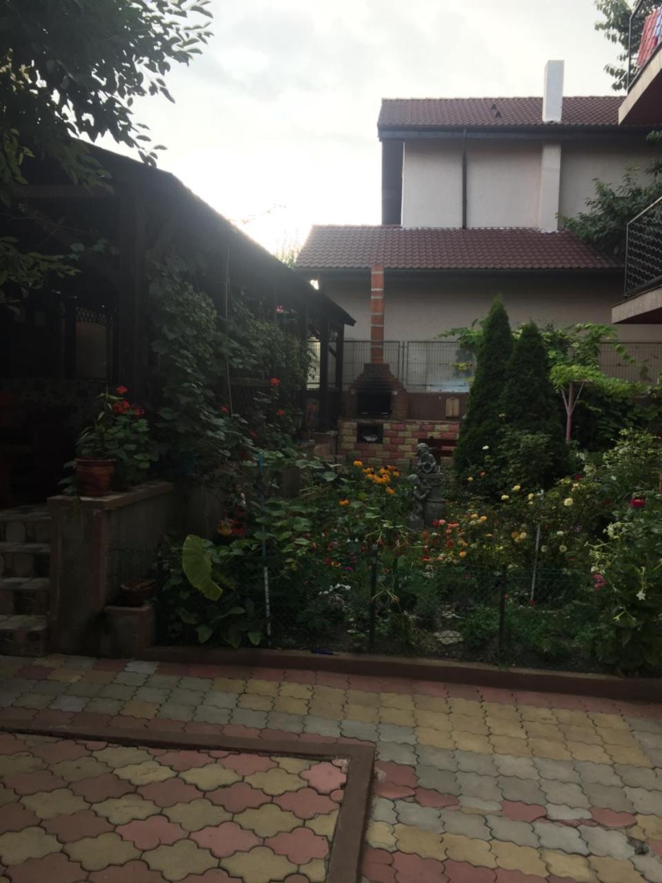 אפורי נורד Vila Efor מראה חיצוני תמונה